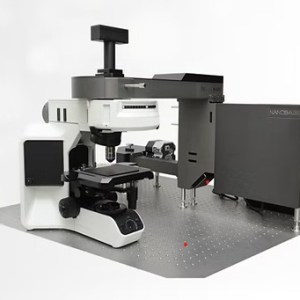 XperRAM-S Series NANOBASE XperRAM-S Series NANOBASE